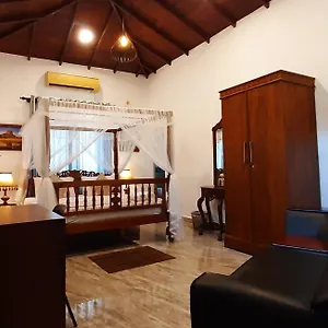 Bliss Lounge Канди